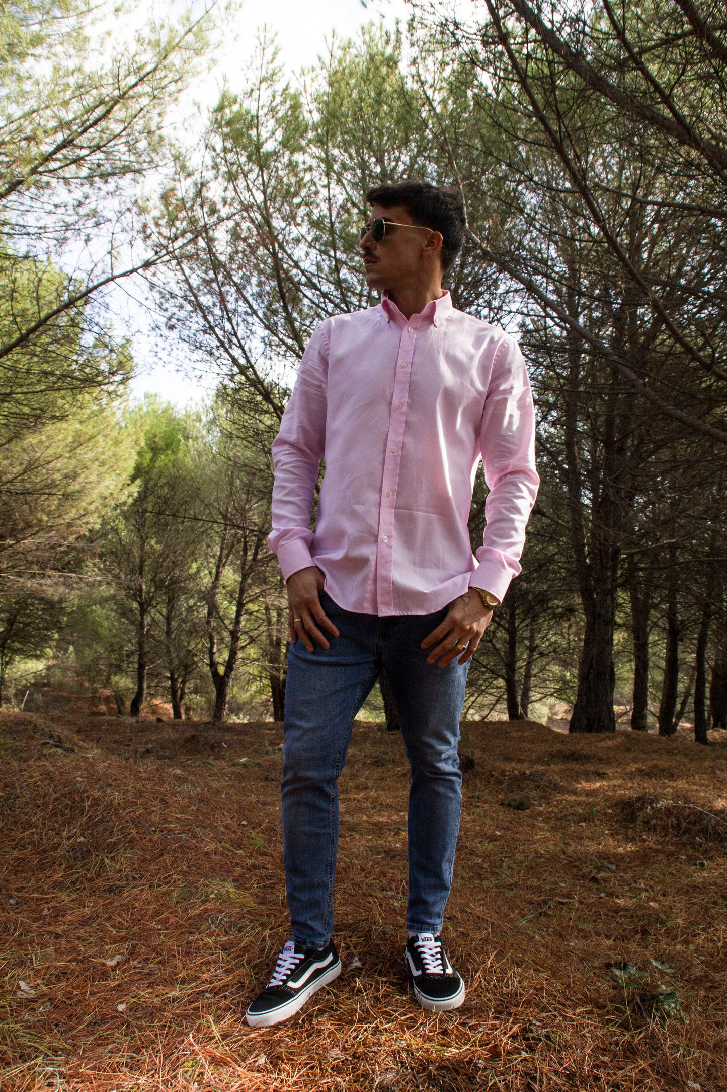 Modelo Rehala