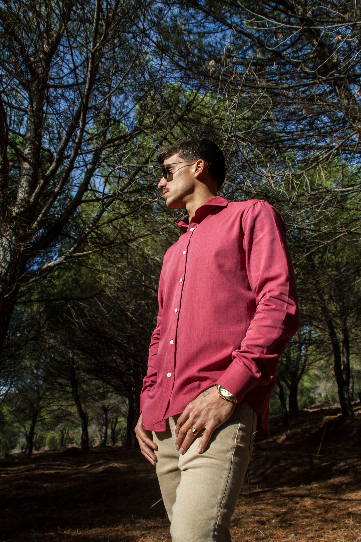 Modelo Forajido