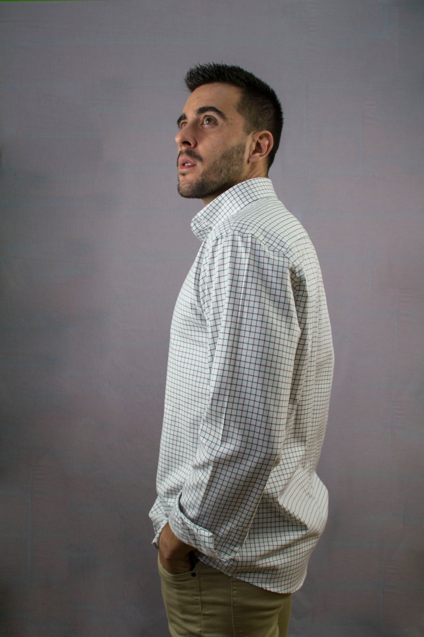 Modelo Olivo