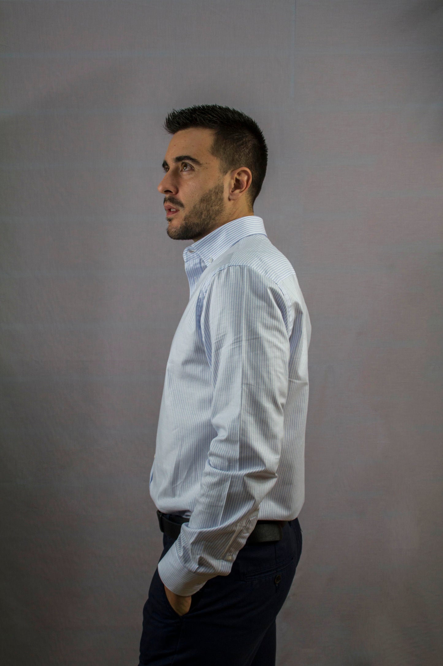 Modelo Venado
