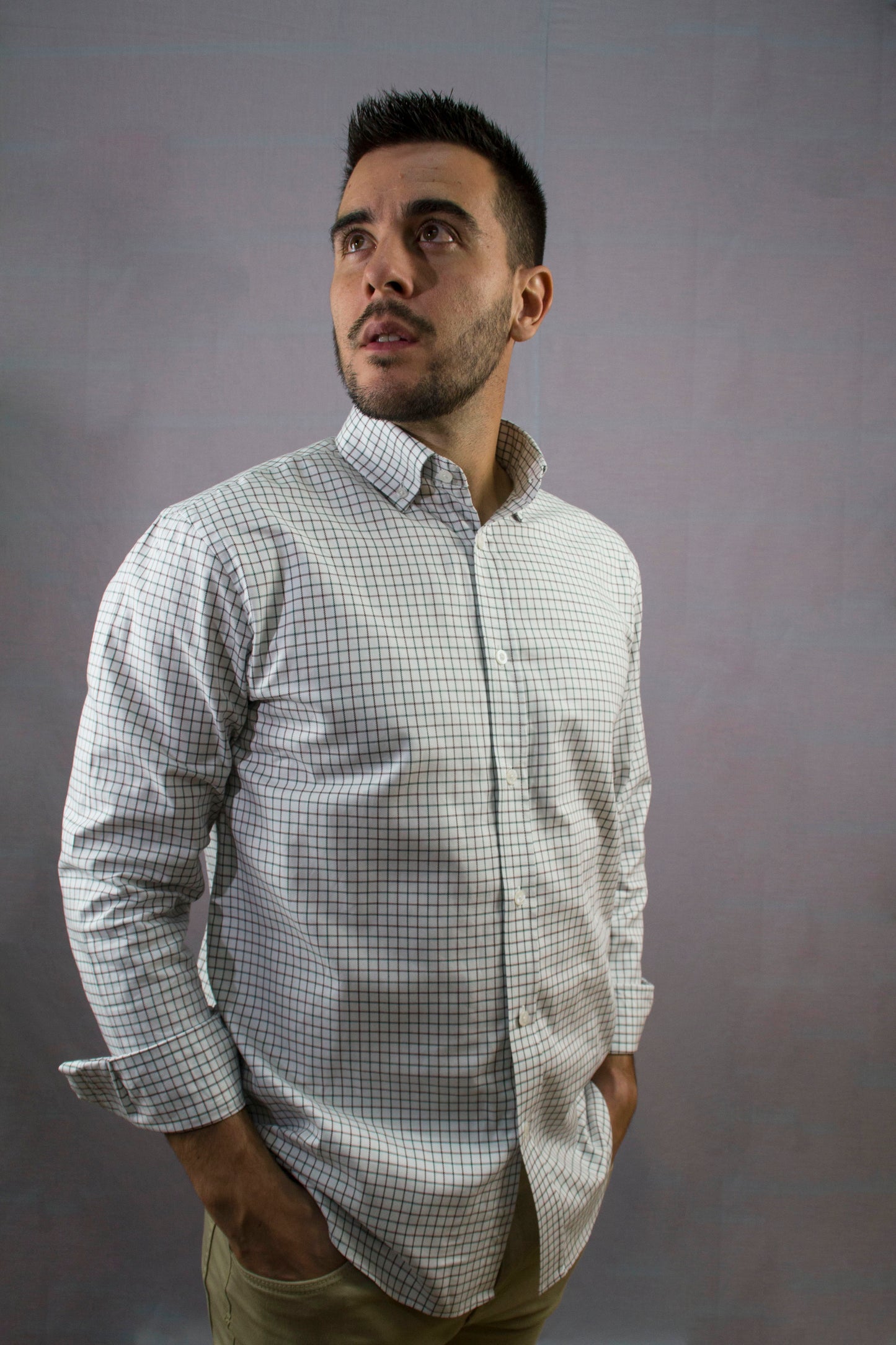Modelo Olivo