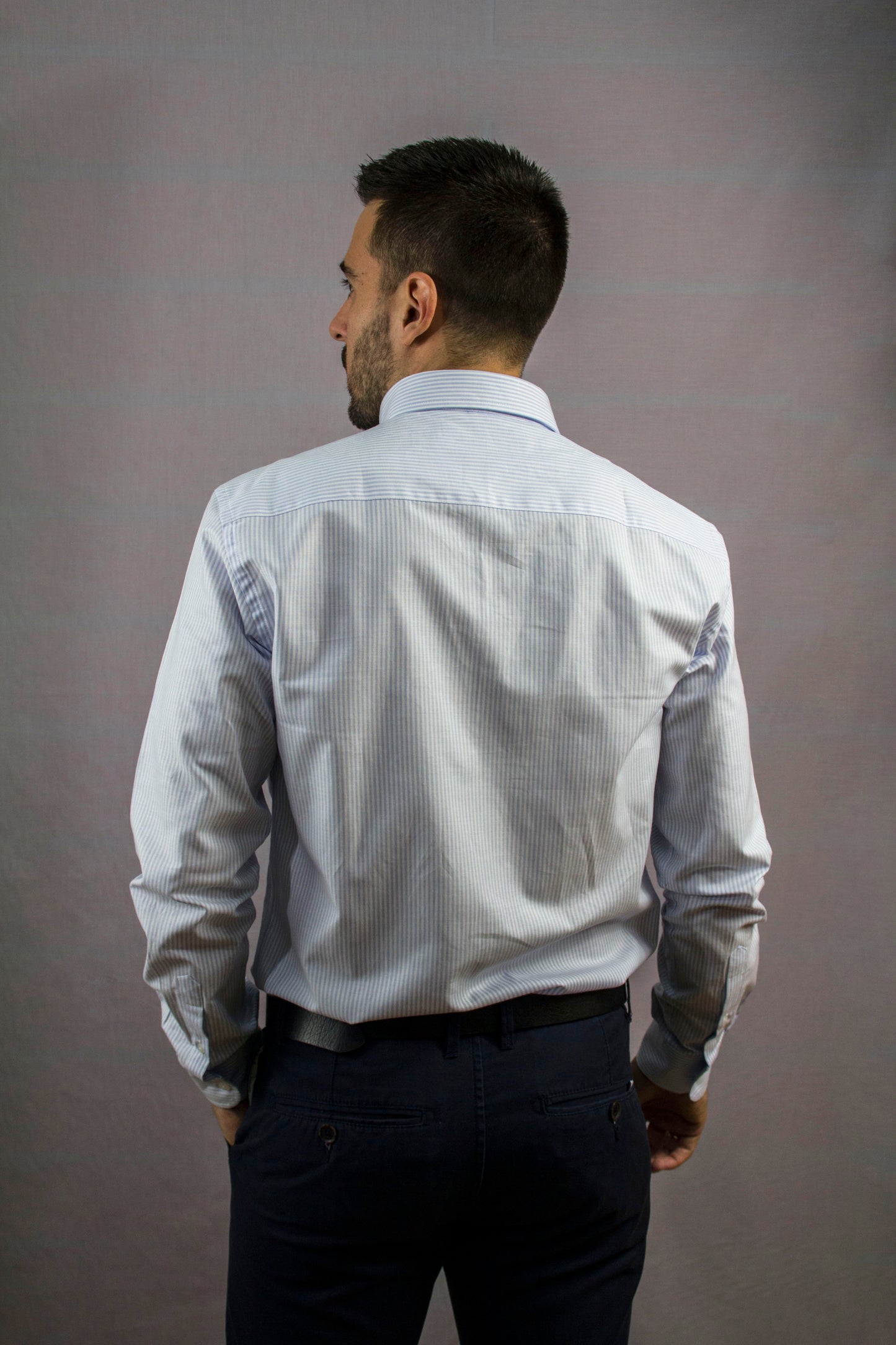 Modelo Venado